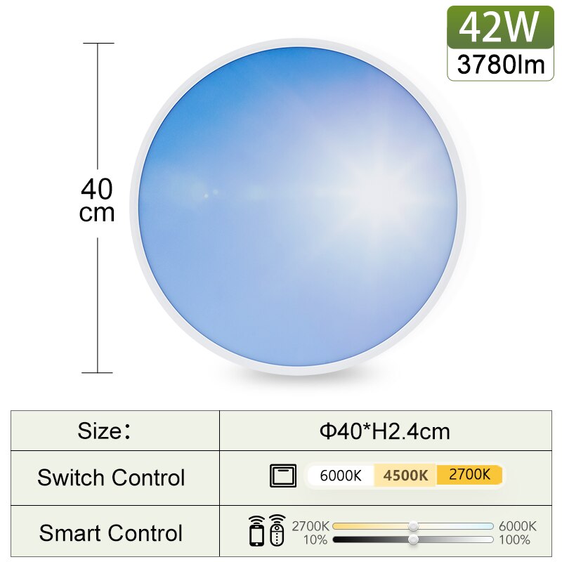 0.9inch Ultrathin Smart Lights APP/Remote Control 40cm Sky/Moon Ceiling Lamps 24/42W Dimmable Lighting for Home Room Decoration