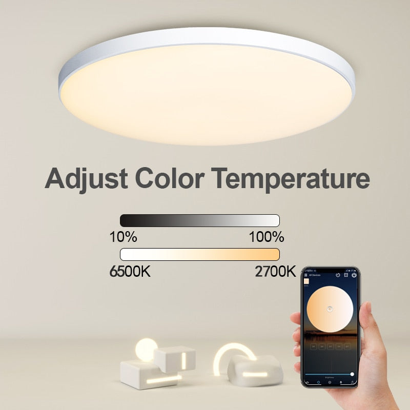 30W Ceiling Light Smart App Control 220V LED RGB Ceiling Lamp Wifi Bluetooth Indoor Living Recreation Room Bedroom Lighting