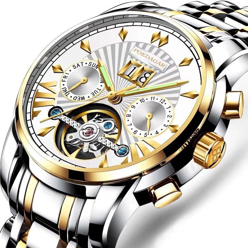 POEDAGAR Men Watch Top Brand Luxury Automatic Mechanical Watches Waterproof Luminous Business Stainless Stain Men's Wristwatch